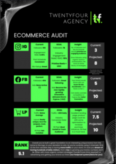 TwentyFour Agency Audit (1)